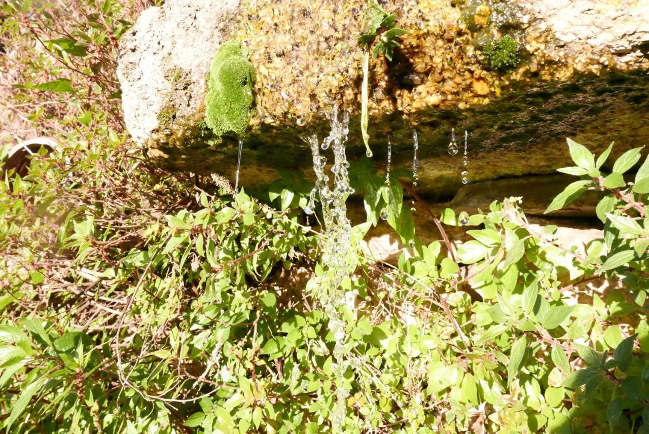 Casa Do Meio Em Quinta De Sao Pedro De Vir-A-Corca Monsanto Extérieur photo
