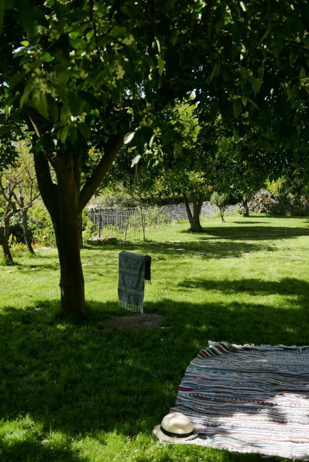 Casa Do Meio Em Quinta De Sao Pedro De Vir-A-Corca Monsanto Extérieur photo