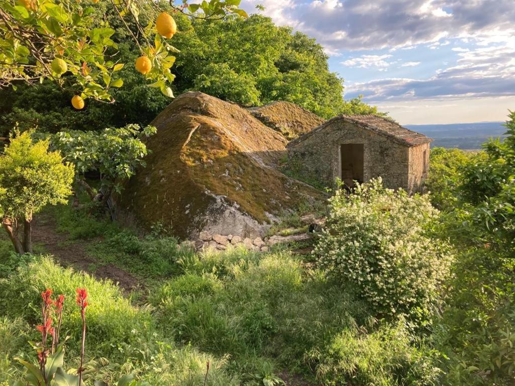 Casa Do Meio Em Quinta De Sao Pedro De Vir-A-Corca Monsanto Extérieur photo
