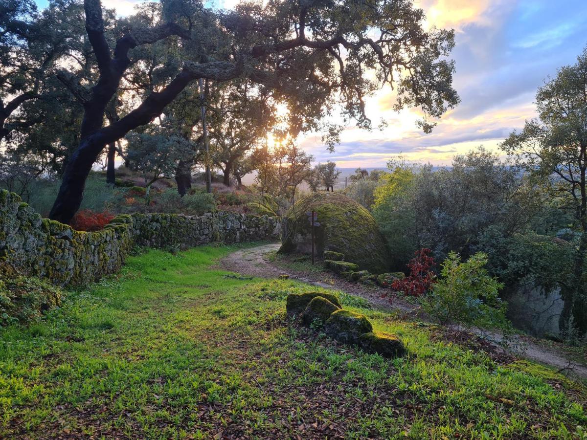 Casa Do Meio Em Quinta De Sao Pedro De Vir-A-Corca Monsanto Extérieur photo